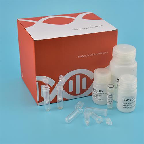 Blood Genomic DNA Kit (Spin Column)