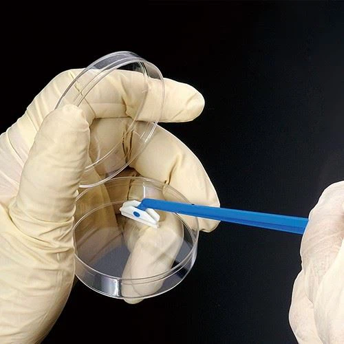 PE Disposable Plastic Sterile Cell Scraper