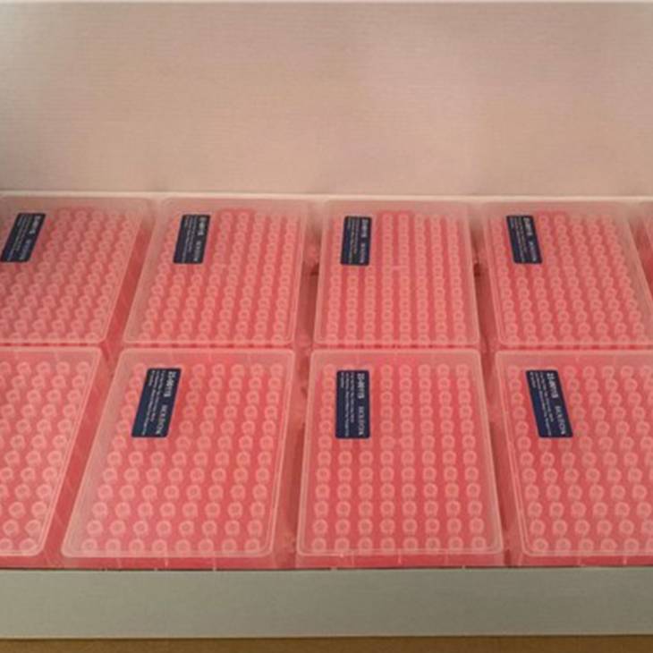 10 ul filtrerade pipettspetsar, extra långa, klara, sterila, rack